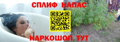 прущие крисы Новодвинск