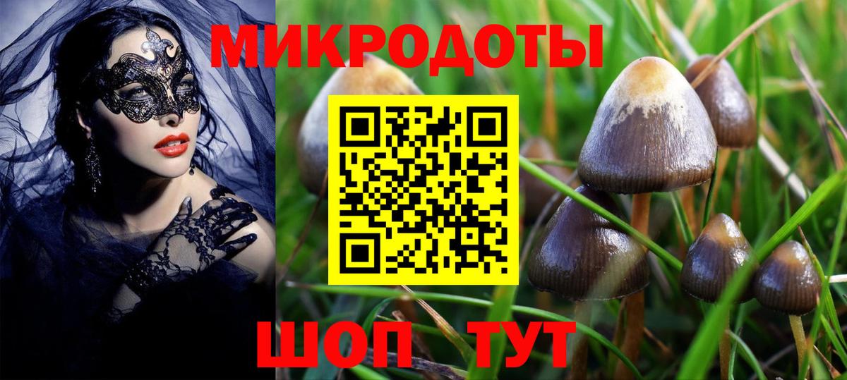 Рязань  Галлюциногенные грибы Magic Shrooms  Псилоцибиновые грибы Cubensis  Вход с VPN 